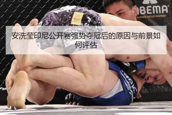 安洗莹印尼公开赛强势夺冠后的原因与前景如何评估